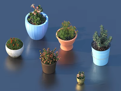 Potted Bonsai Plants in Colorful Pots with Various Small Green Plants and Decorative Design 3d model