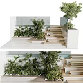 Modern Garden Landscape Featuring Layered Stone Steps Elevated Platforms Lush Green Plants and White Walls