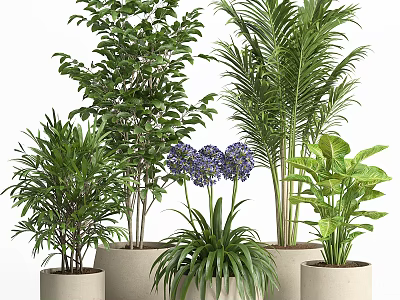 Various Green Leafy Plants With Purple Flowers In Ceramic Pots Arrangement 3d model