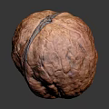 Walnut Tree Fresh Fruit Close Up View With Natural Texture Isolated On Dark Background 3d model