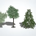 Arbor Trees with Diverse Foliage Shapes and Natural Growth in Landscape Design
