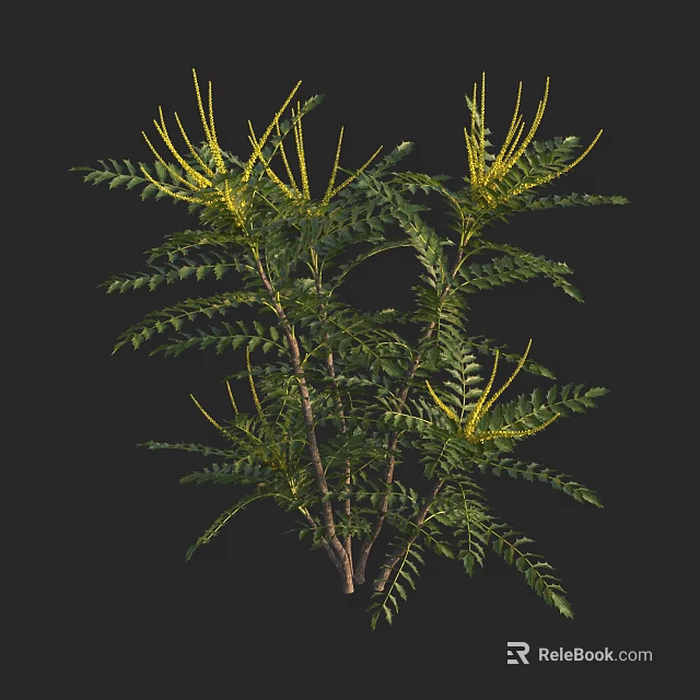 Lush Green Shrub with Vibrant Yellow Flower Spikes and Fresh Foliage for Garden Landscaping 3d model 