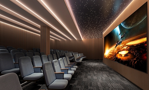 Cinema screening hall home theater video room 3d model