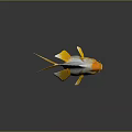 Beautiful Bright Yellow And White Goldfish With Flowing Fins And Tail As Aquatic Animal