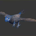 Parrot with Spread Wings on Grey Gradient Background and Reflective Ground