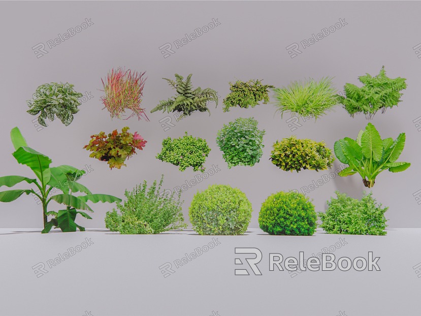 Plants 2D Shrubs model