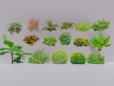 Plants 2D Shrubs 3d model