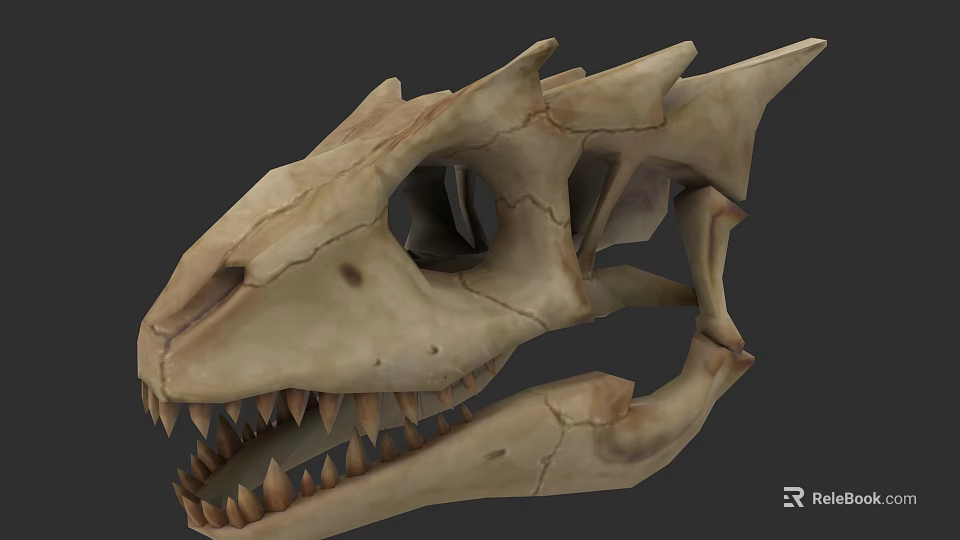 Reptile Skull Fossil With Sharp Teeth And Detailed Skeleton Structure 3d model 