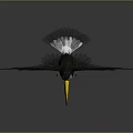 Modern bird toucan Togo toucan large toucan 3d model