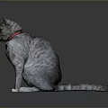 Gray Striped Cat Sitting Gracefully With Red Collar On Dark Background 3d model