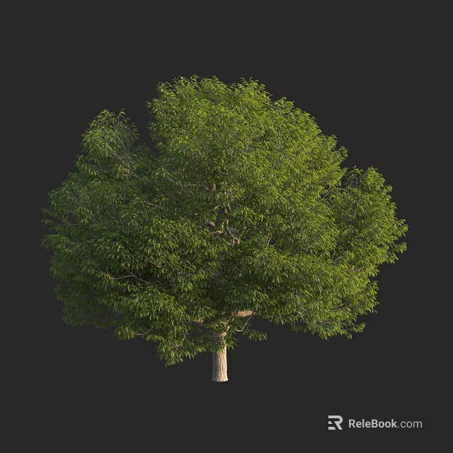 Lush Green Arbor With Dense Foliage And Strong Trunk On Dark Background 3d model 