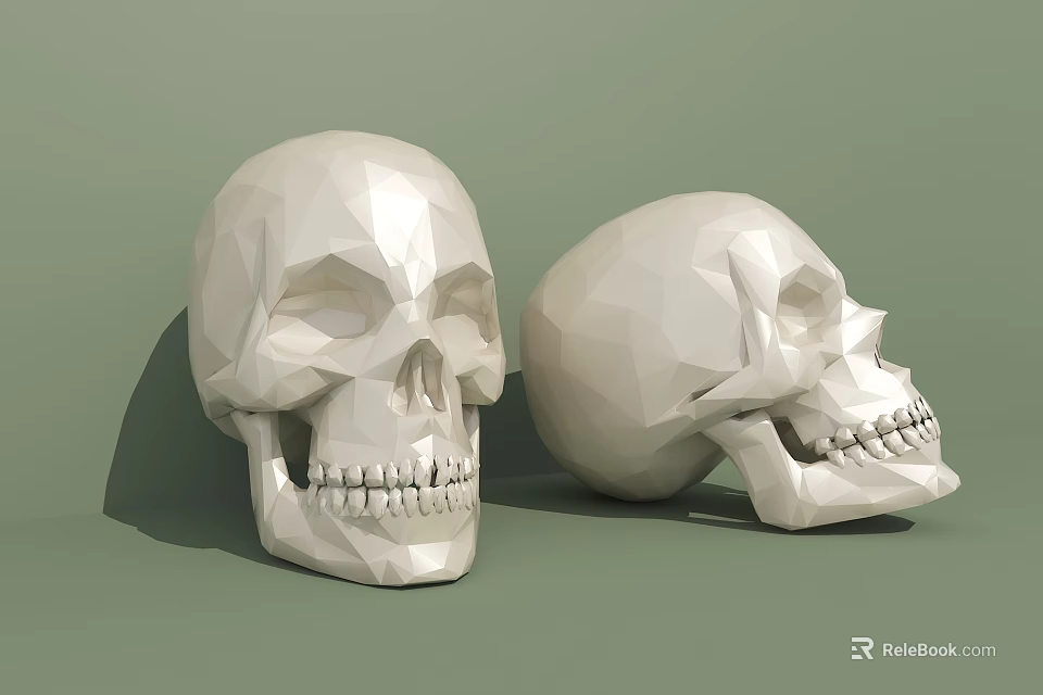 Medical Equipment Human Skull Anatomical Model with Low Poly Design for Medical Education 3d model 