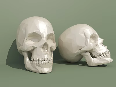Medical Equipment Human Skull Anatomical Model with Low Poly Design for Medical Education 3d model