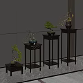 Carved Wooden Plant Stands of Various Heights Display Bonsai Plants Against Light Wall and Floor