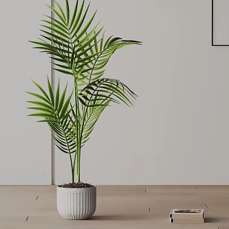 Modern Potted Plant 3d model
