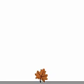 Vibrant Orange Maple Shaped Leaf With Dark Brown Veins And Brown Petiole