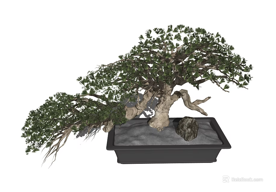 Unique Shaped Bonsai Tree With Twisted Branches Lush Green Leaves In Black Rectangular Pot 3d model 