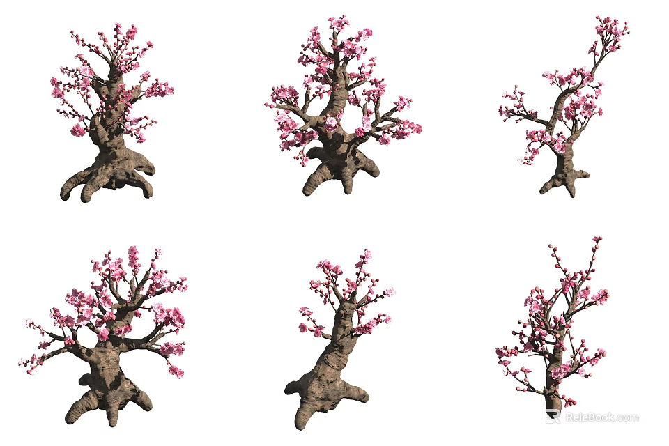 Bonsai Plants with Pink Flowers and Unique Trunk in Various Decorative Styles 3d model 