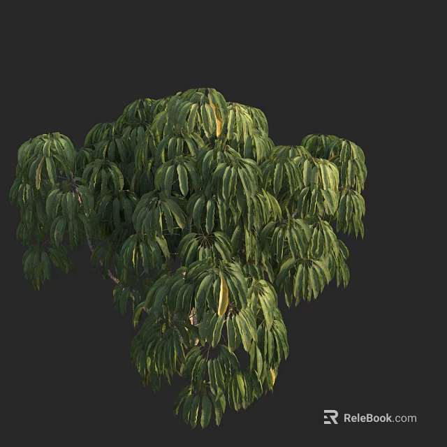 Green Shrub Featuring Lush Dense Foliage With Round Canopy Shape Against Dark Background 3d model