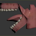 Anatomical 3D Human Mouth Model With Open Teeth And Extended Tongue