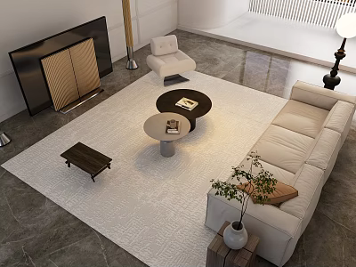 Modern Living Room Sofa And Coffee Table Set With Area Rug Floor Lamp And Plant 3d model