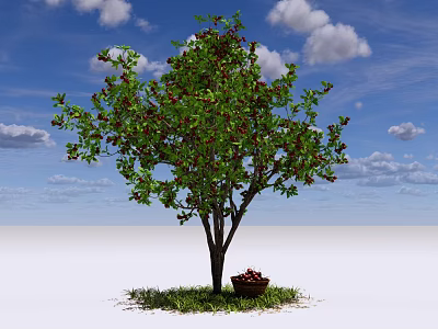 A Healthy Tree with Green Leaves Red Fruits and Basket Under Blue Sky White Clouds 3d model