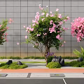 Plant Combination With Pink Flowering Trees Green Shrubs And Decorative Stones