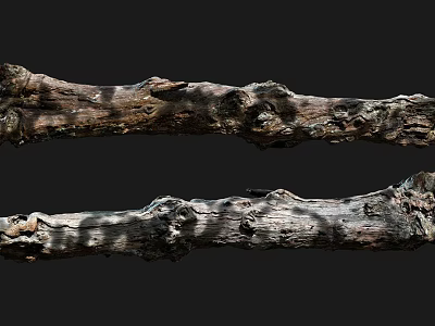 Natural Stone Wood Logs With Rough Textured Surfaces And Organic Patterns 3d model
