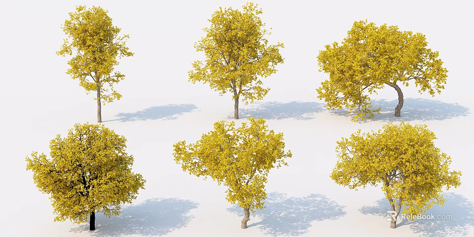 Multiple Arbor Trees With Yellow Leaves And Shadows On White Background 3d model 