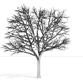 Bare Tree with Snow Covered Branches Under Blue Sky on Snowy Ground 3d model