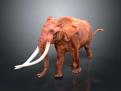 Lifelike Elephant With Long White Tusks And Brown Skin Standing 3d model