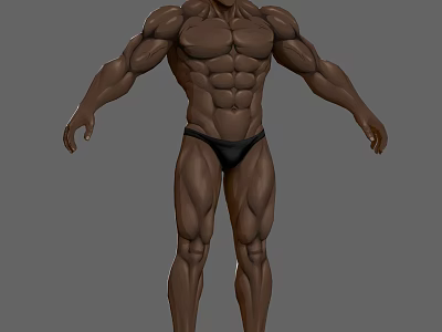 Muscular Male Character Standing Pose Full Body Display with Detailed Muscle Definition 3D Model Design 3d model