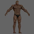 Muscular Male Character Standing Pose Full Body Display with Detailed Muscle Definition 3D Model Design