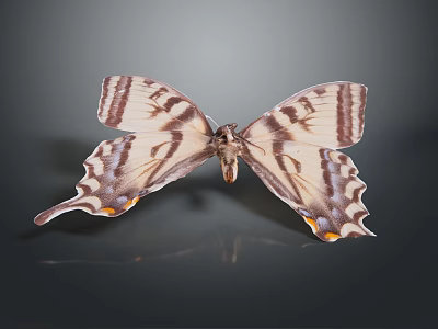 Striped Tailed Butterfly With Brown And White Wings On Dark Background 3d model