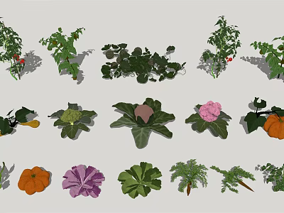 Various Fresh Vegetable 3D Models Showcasing Different Types And Green Leaves 3d model