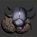 Blue beetle carrying brown textured dung ball on dark background surface 3d model