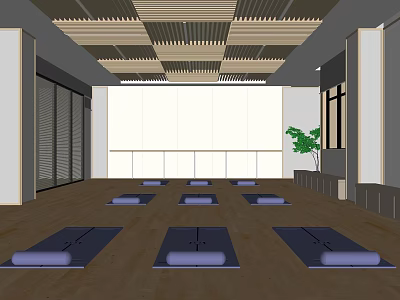 Bright Spacious Yoga Fitness Studio With Wooden Floor Arranged Yoga Mats And Green Plant 3d model