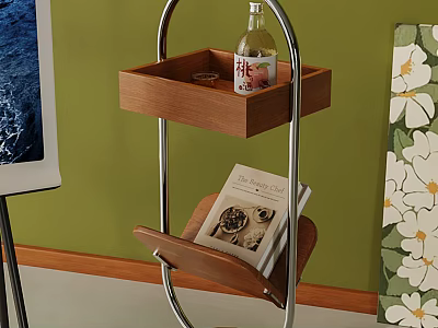 Modern Wooden Storage Shelf with Metal Frame holding Peach Bottle and Magazine on Green Wall 3d model