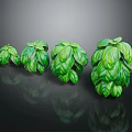 Four Pots of Basil Plants With Lush Green Leaves Arranged on Black Background and Reflections