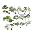 2d landscape tree modeling tree modeling tree 3d model