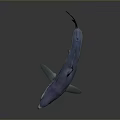 Blue and Purple Shark in Side View with Open Mouth and Fins on Gray Background