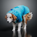 Cute Dog Wearing Blue Shark Costume Standing On Dark Background With Reflection