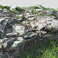 Natural Scenic Landscape Featuring Moss Covered Rocks And Lush Green Grass