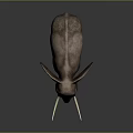 Realistic Elephant With Long Tusks Large Ears And Rough Skin On Dark Background