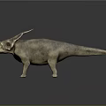 Realistic 3D Triceratops Dinosaur Model With Detailed Skin Texture And Horns