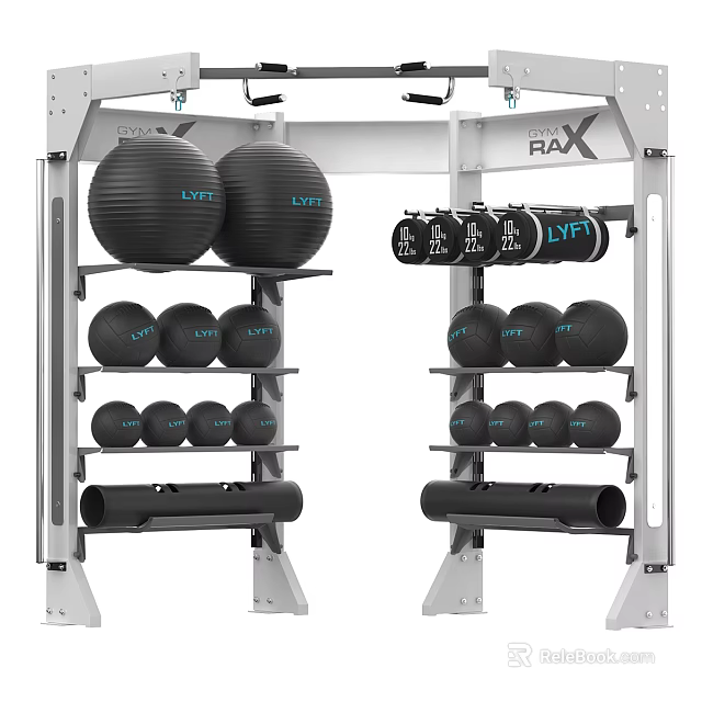 RAX Fitness Equipment Storage Rack With LVT Exercise Balls And Weight Plates 3d model 