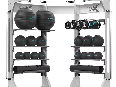 RAX Fitness Equipment Storage Rack With LVT Exercise Balls And Weight Plates 3d model