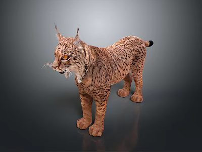 Realistic 3D Lynx Model With Spotted Fur Tufted Ears And Yellow Eyes 3d model