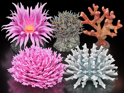 Colorful Aquatic Plants With Various Shapes And Vibrant Hues In Marine Setting 3d model