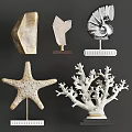 Decorative Ornament Set With Globe Seashell Coral Sailboat Model Starfish And Books On Shelves